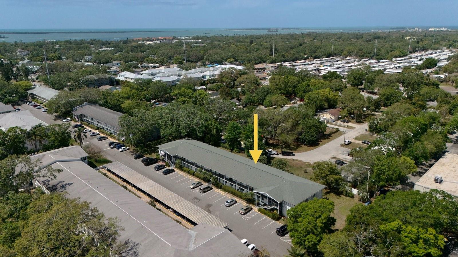 100 GLENNES LN #207, DUNEDIN, FL, 34698