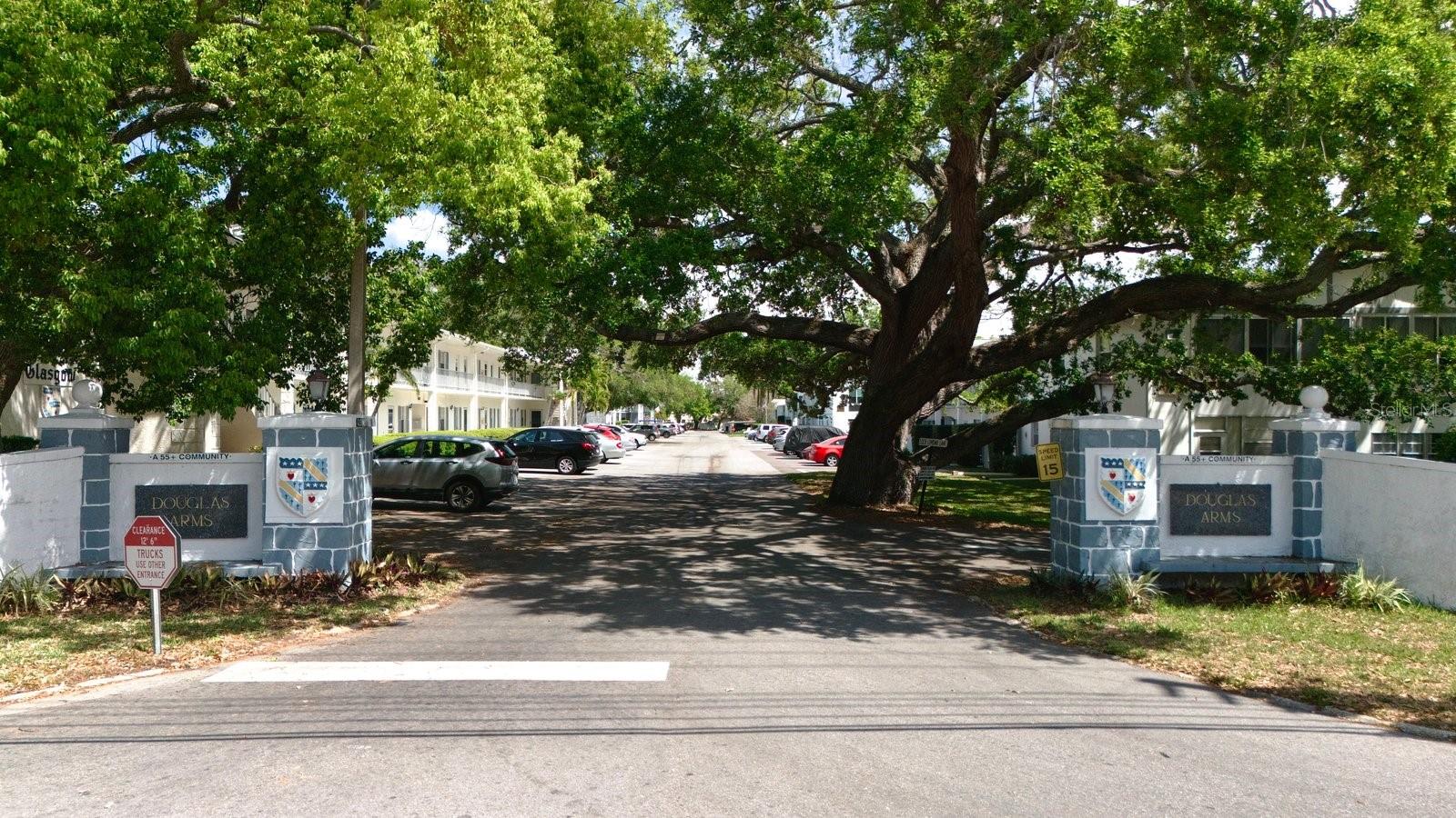 100 GLENNES LN #207, DUNEDIN, FL, 34698