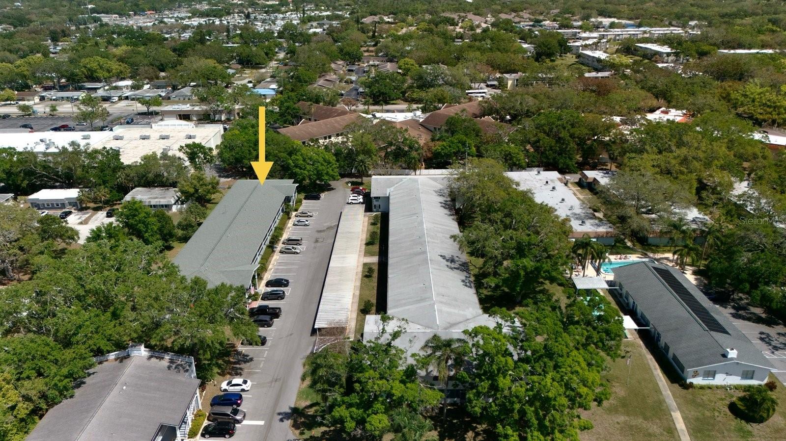 100 GLENNES LN #207, DUNEDIN, FL, 34698