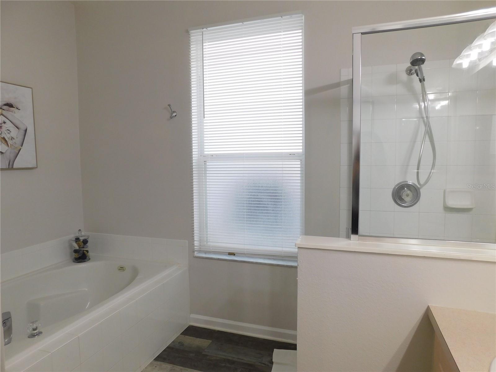 2223 WYNDHAM PALMS WAY, KISSIMMEE, FL, 34747