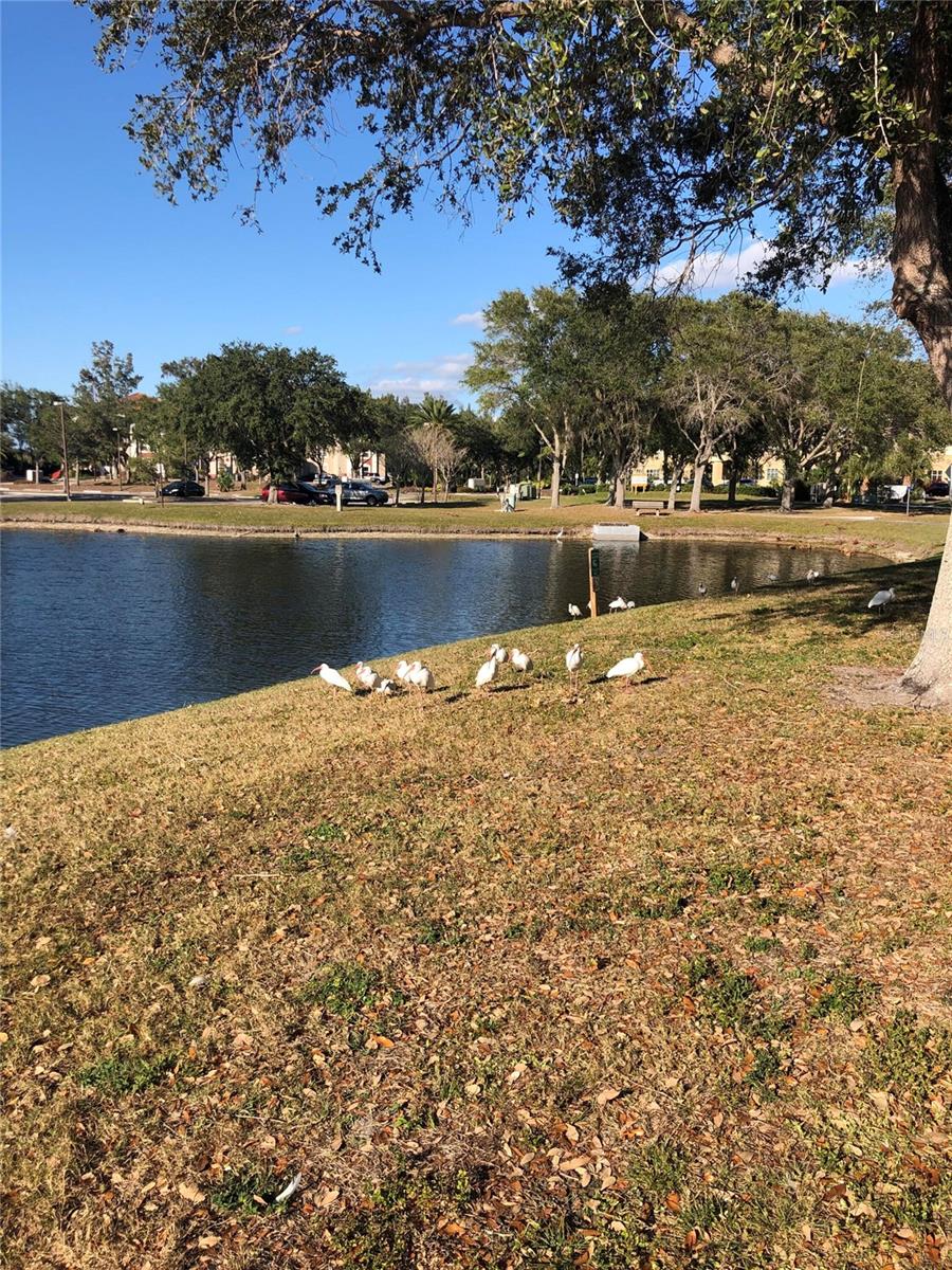 26187 ARGENTINA DR, PUNTA GORDA, FL, 33983