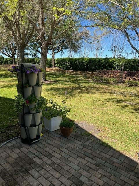 155 CREPE MYRTLE DR, GROVELAND, FL, 34736