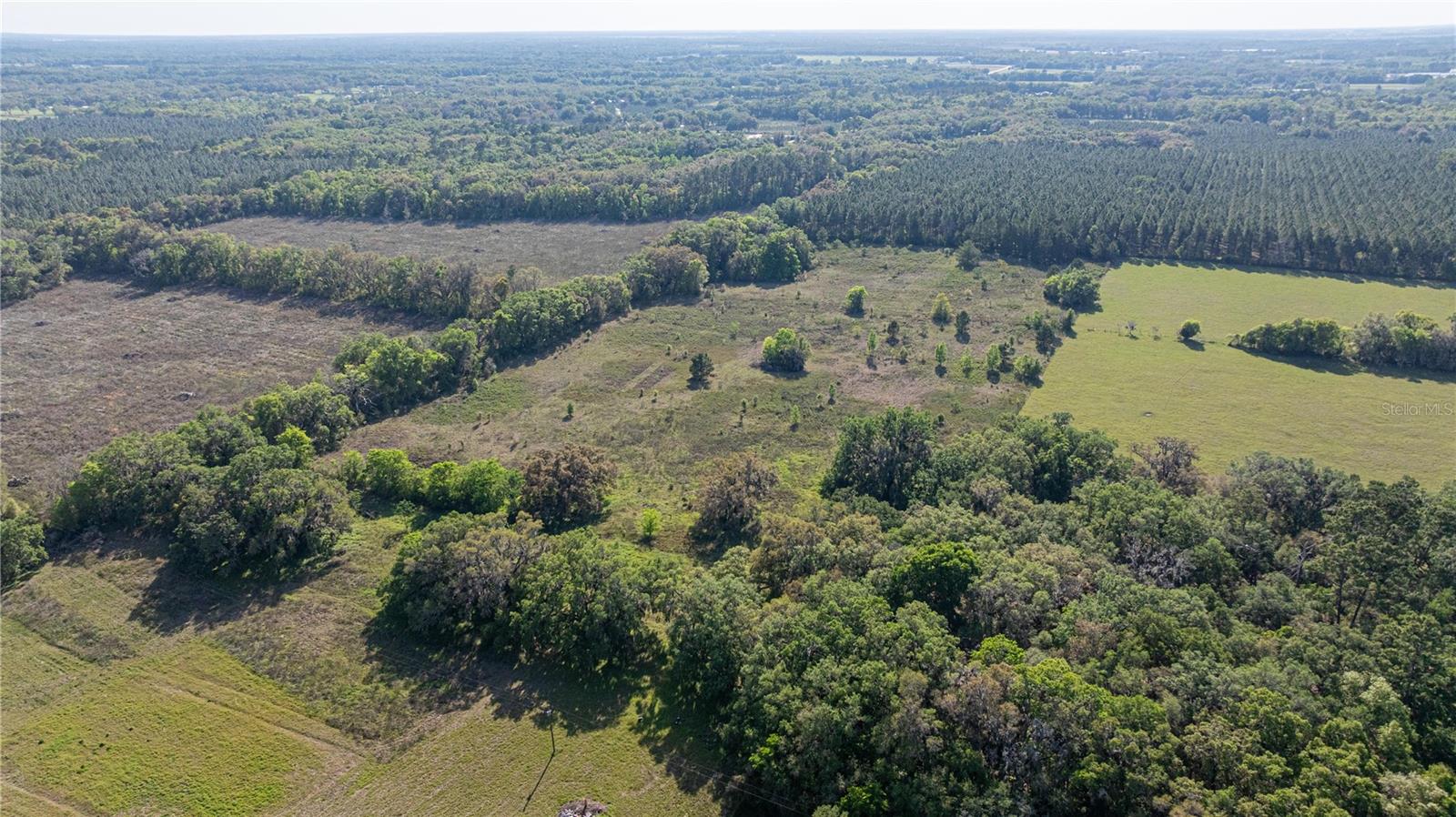 2390 NE 212 CT, WILLISTON, FL, 32696