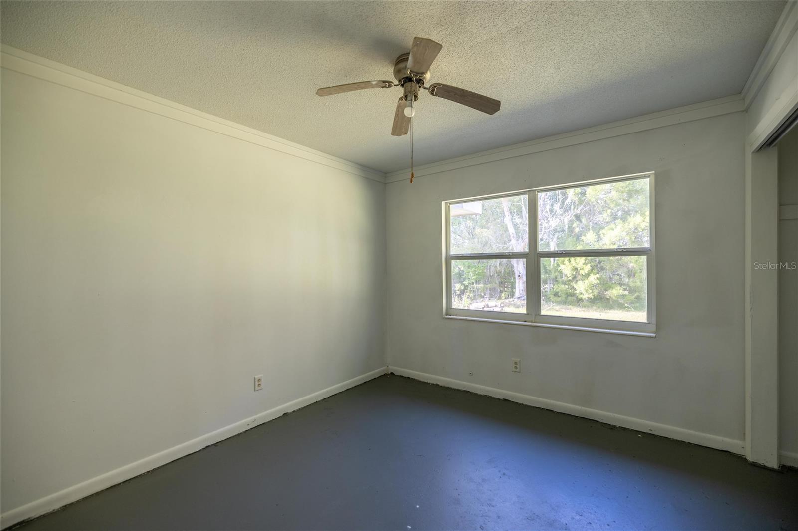 2390 NE 212 CT, WILLISTON, FL, 32696