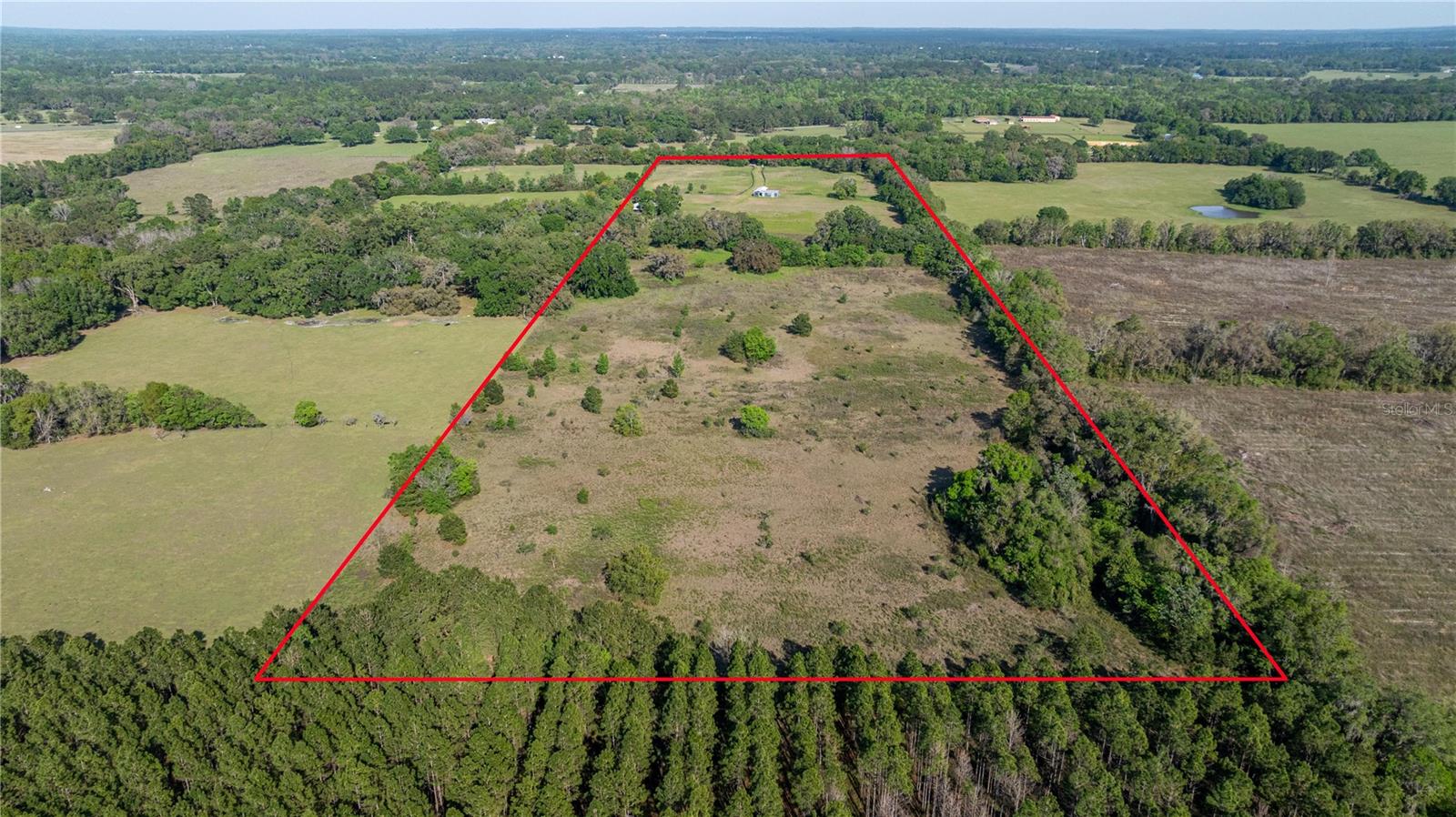 2390 NE 212 CT, WILLISTON, FL, 32696
