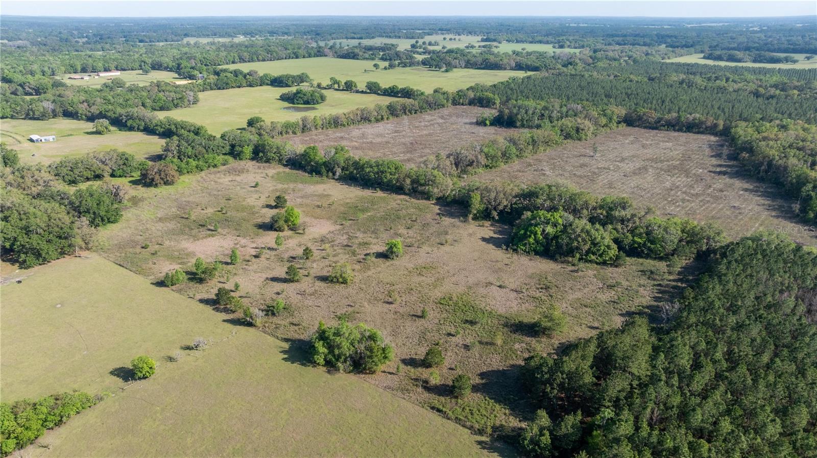 2390 NE 212 CT, WILLISTON, FL, 32696