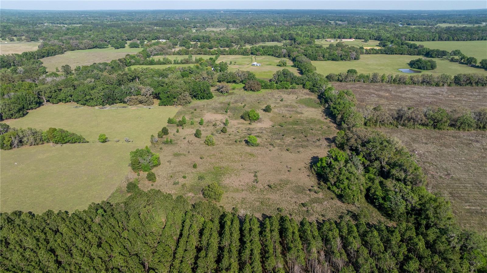 2390 NE 212 CT, WILLISTON, FL, 32696
