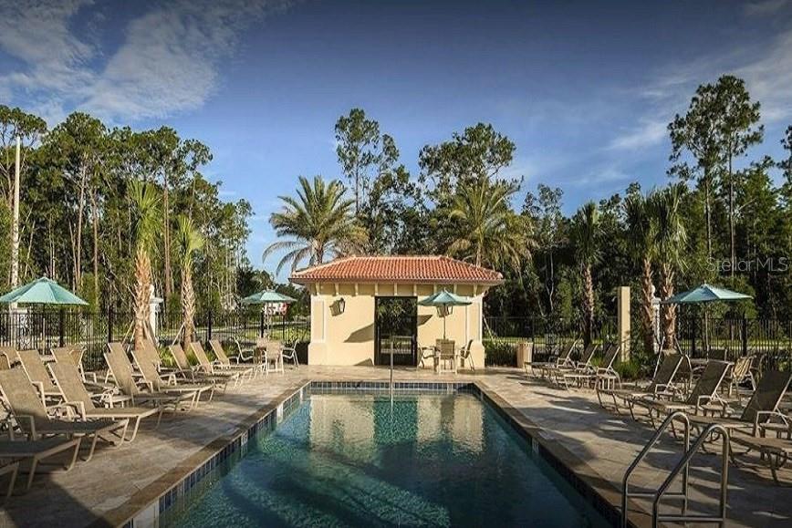 8348 VIVARO ISLE WAY, WINDERMERE, FL, 34786