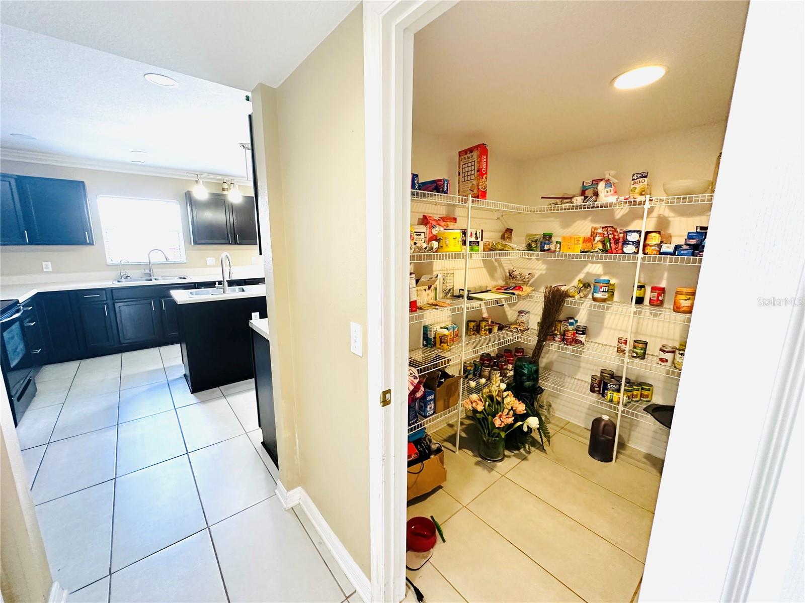 393 FISH HAWK DR, WINTER HAVEN, FL, 33884