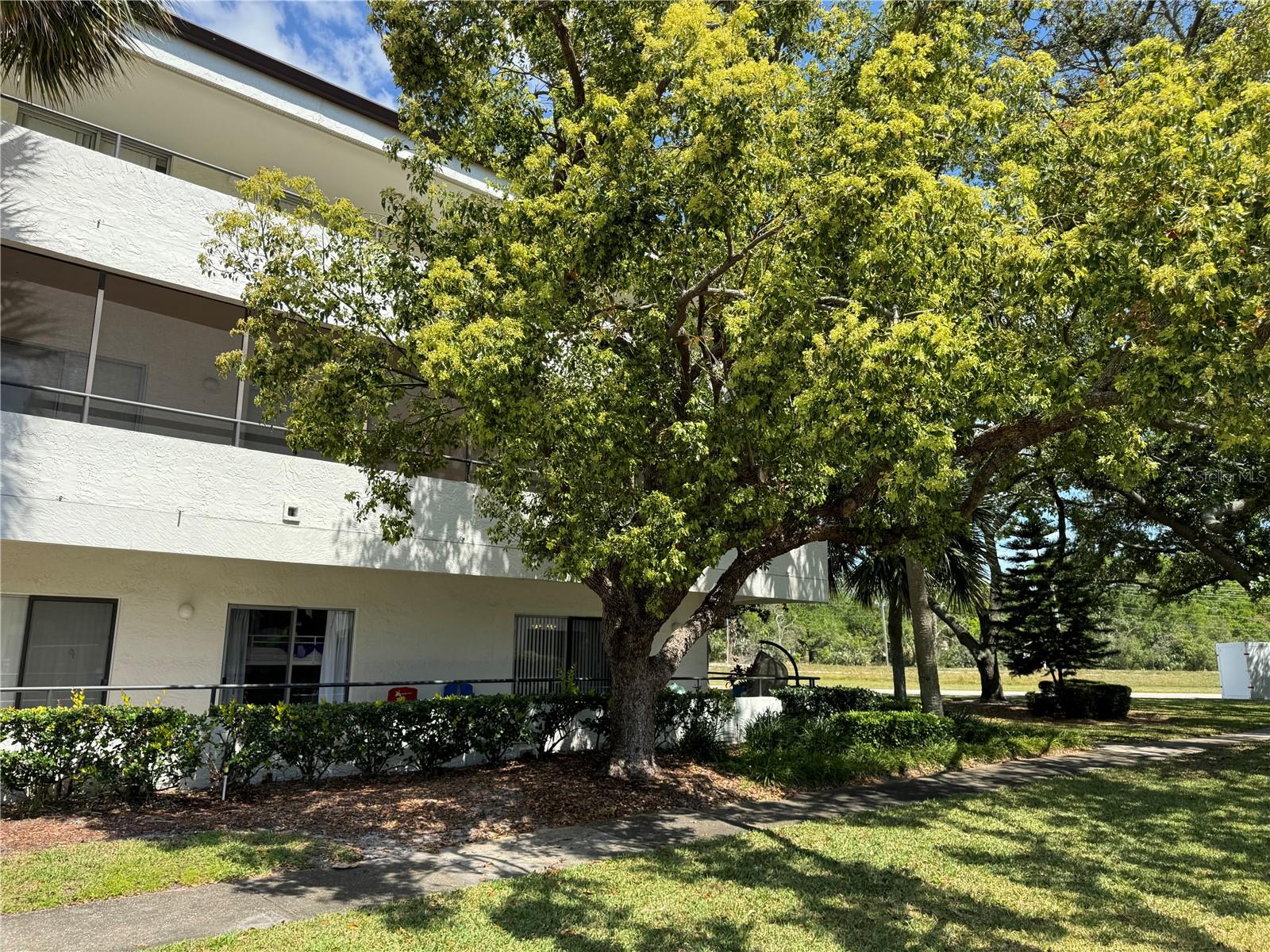 2579 COUNTRYSIDE BLVD #1204, CLEARWATER, FL, 33761