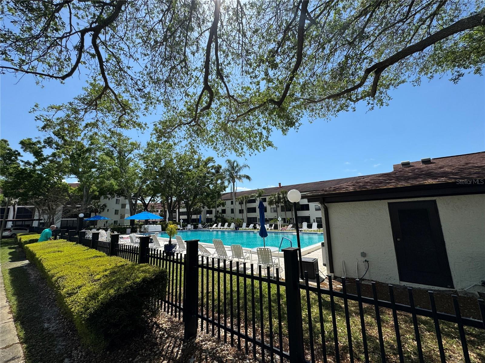 2579 COUNTRYSIDE BLVD #1204, CLEARWATER, FL, 33761
