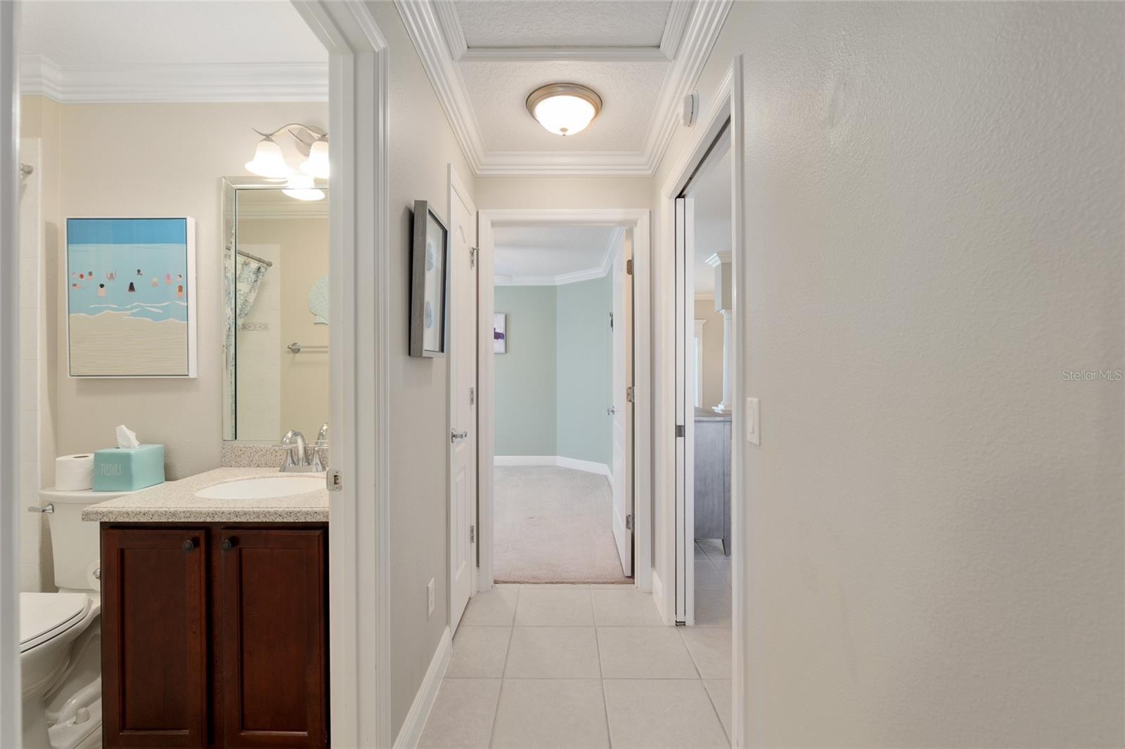 1768 SCRANTON TER, THE VILLAGES, FL, 32162