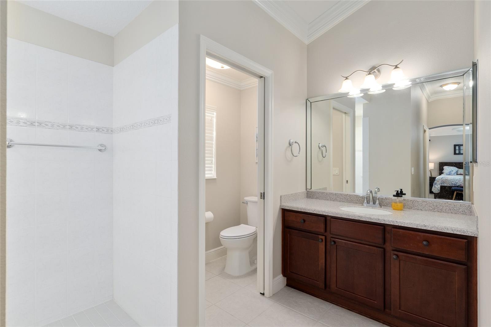 1768 SCRANTON TER, THE VILLAGES, FL, 32162