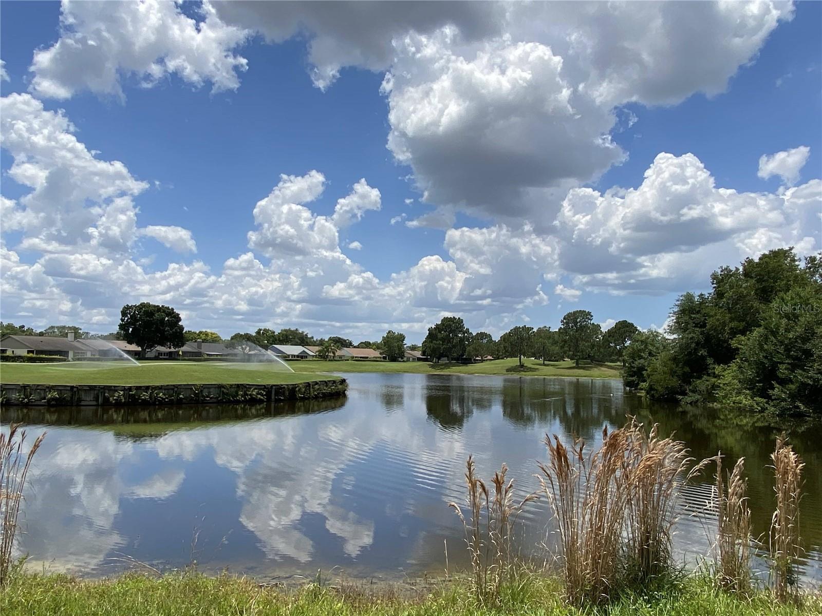 13227 CHERRY BARK CIR, RIVERVIEW, FL, 33579