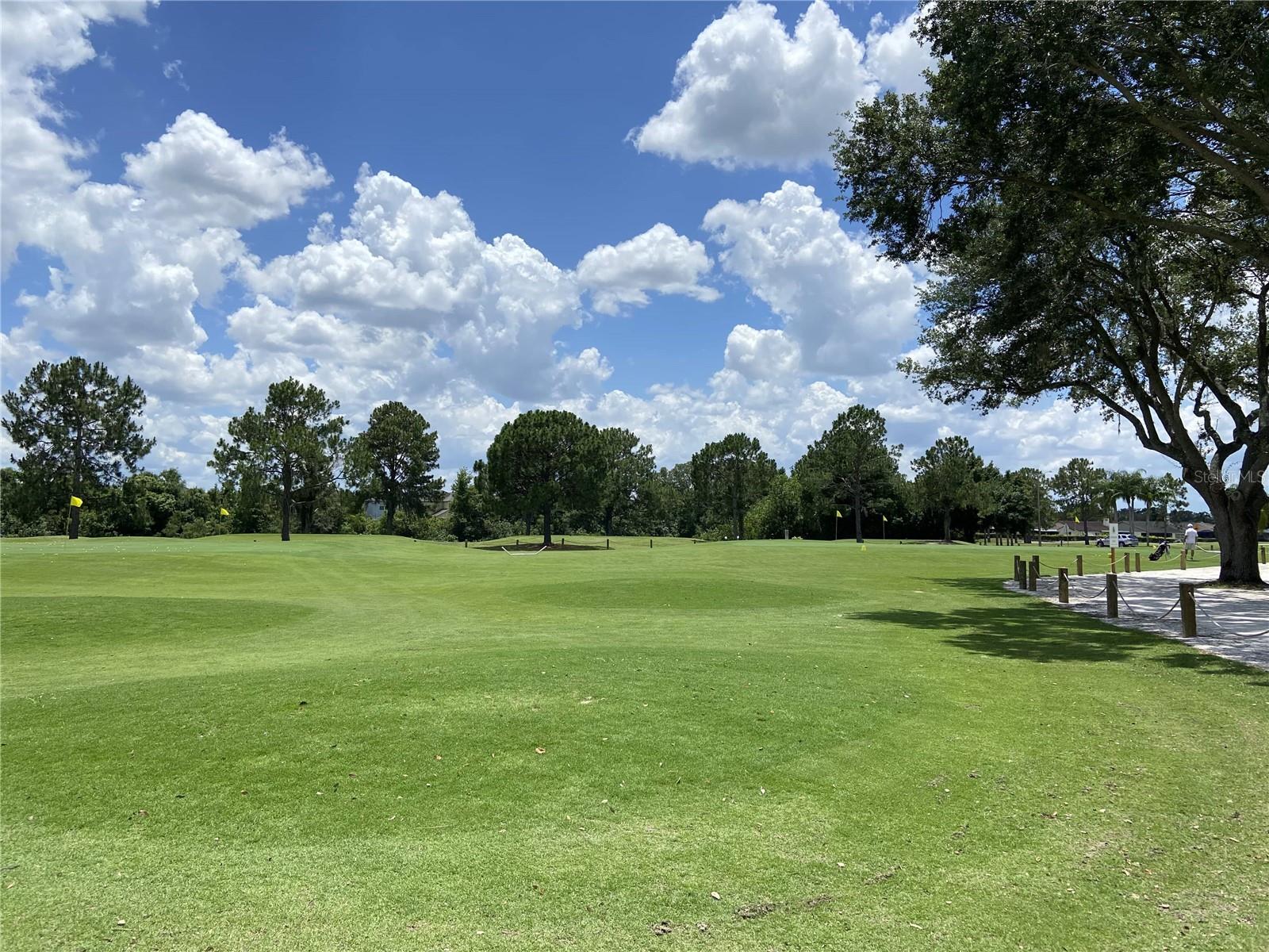 13227 CHERRY BARK CIR, RIVERVIEW, FL, 33579