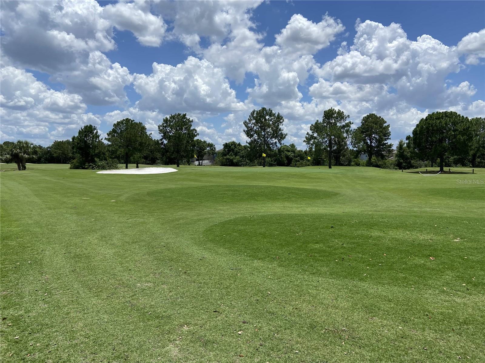 13227 CHERRY BARK CIR, RIVERVIEW, FL, 33579