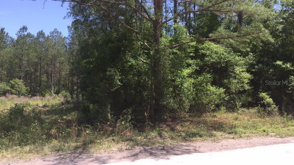 LOT 6 HICKORY LANE, LIVE OAK, FL, 32060