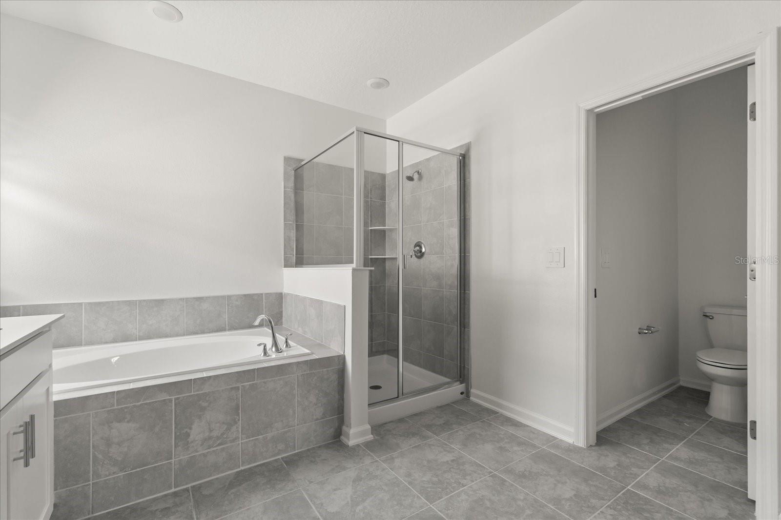 2581 RUNNERS CIR, CLERMONT, FL, 34714