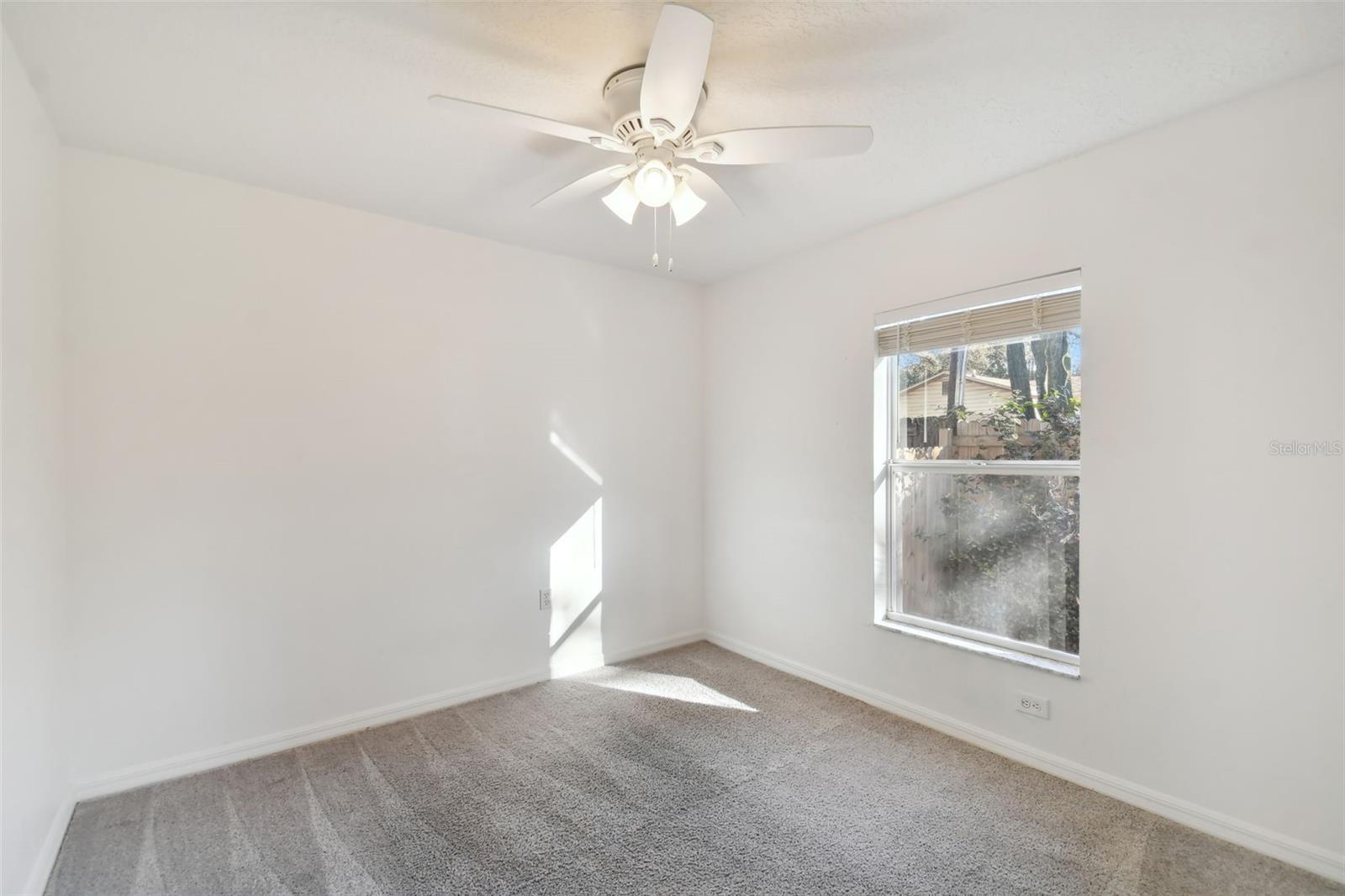 7707 N TALIAFERRO AVE, TAMPA, FL, 33604