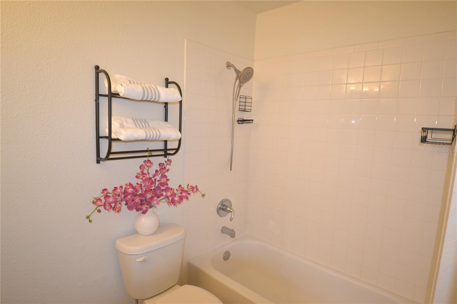 FOUNTAINS AT COUNTRYSIDE CONDO, CLEARWATER, FL, 33761