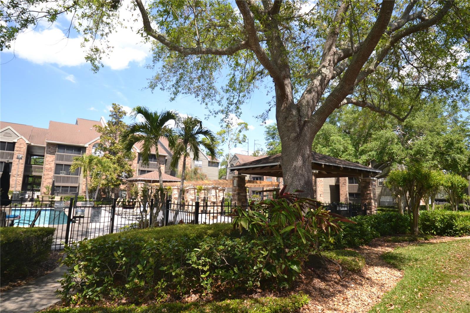 FOUNTAINS AT COUNTRYSIDE CONDO, CLEARWATER, FL, 33761