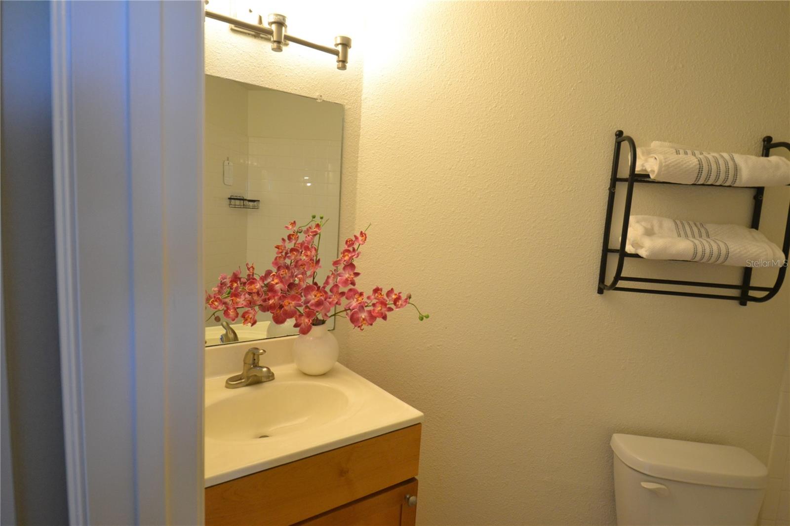 FOUNTAINS AT COUNTRYSIDE CONDO, CLEARWATER, FL, 33761