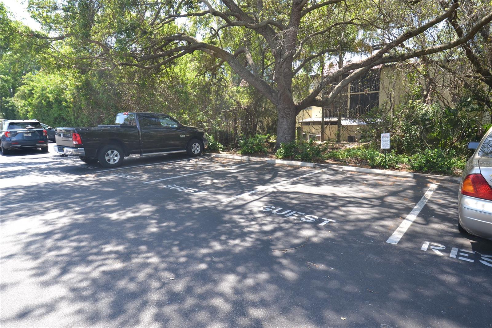 FOUNTAINS AT COUNTRYSIDE CONDO, CLEARWATER, FL, 33761