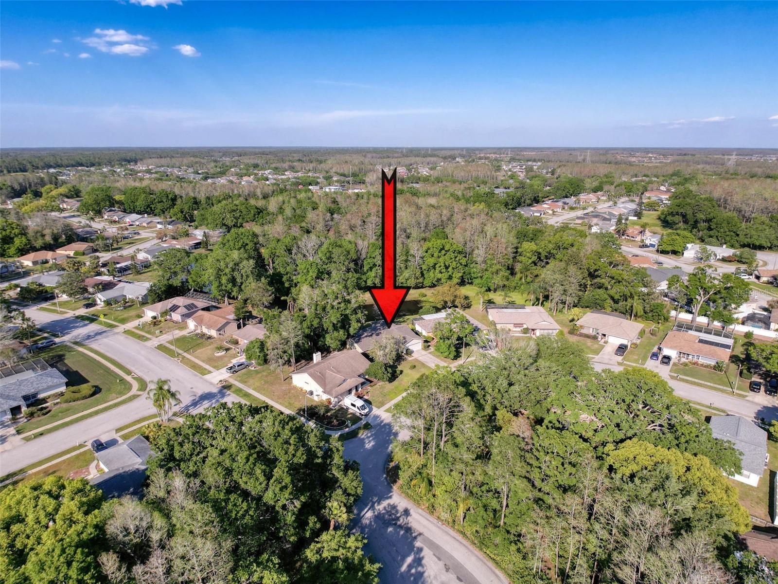 3142 CRENSHAW CT, NEW PORT RICHEY, FL, 34655