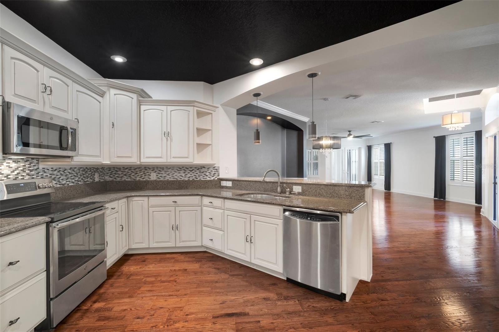 30224 LETTINGWELL CIR, WESLEY CHAPEL, FL, 33543