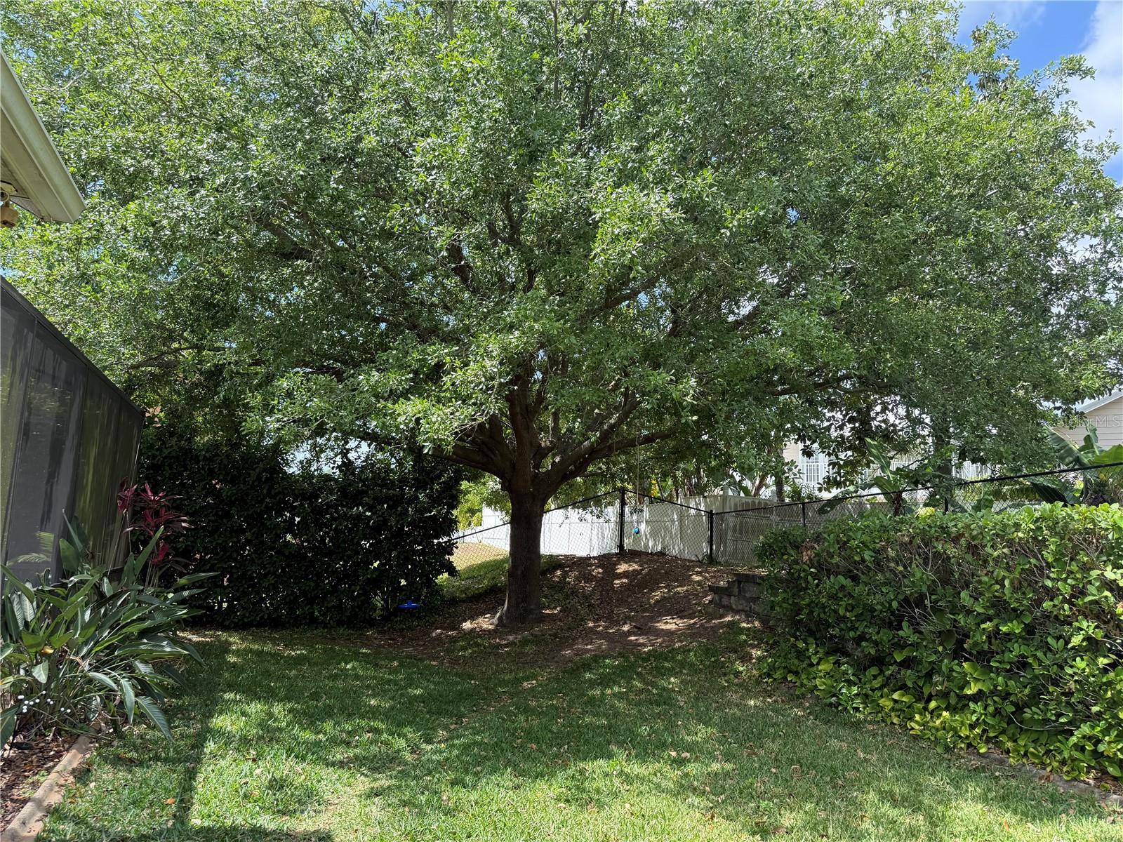 12238 STILL MEADOW DR, CLERMONT, FL, 34711