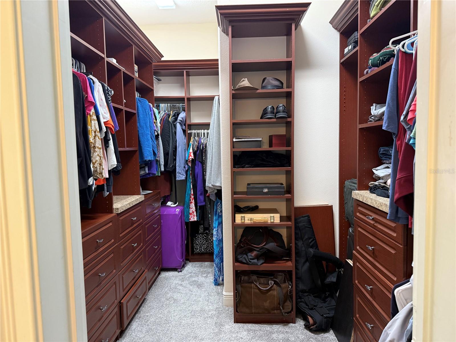 12238 STILL MEADOW DR, CLERMONT, FL, 34711