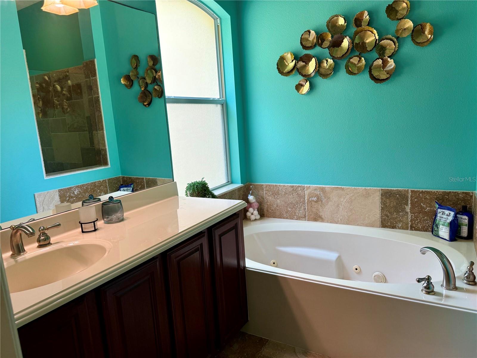 12238 STILL MEADOW DR, CLERMONT, FL, 34711