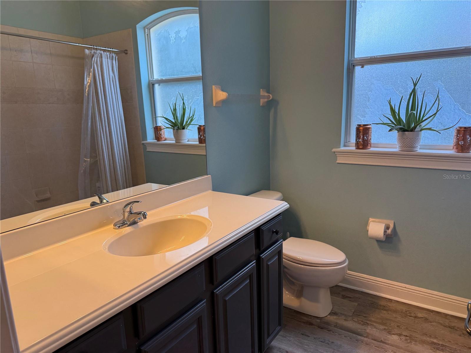 12238 STILL MEADOW DR, CLERMONT, FL, 34711