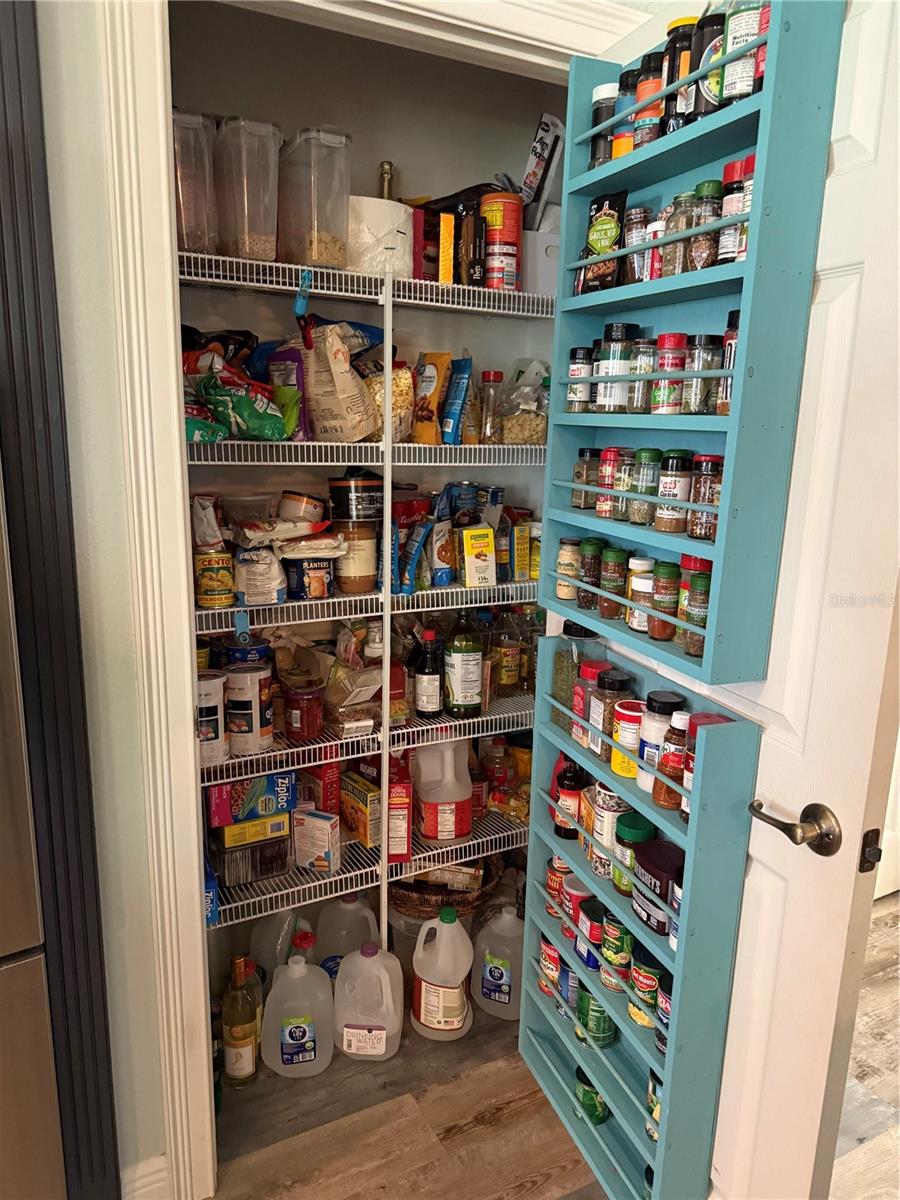 12238 STILL MEADOW DR, CLERMONT, FL, 34711