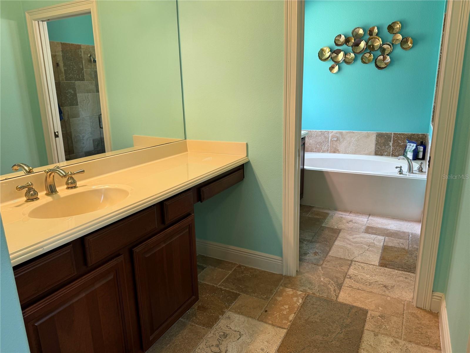 12238 STILL MEADOW DR, CLERMONT, FL, 34711