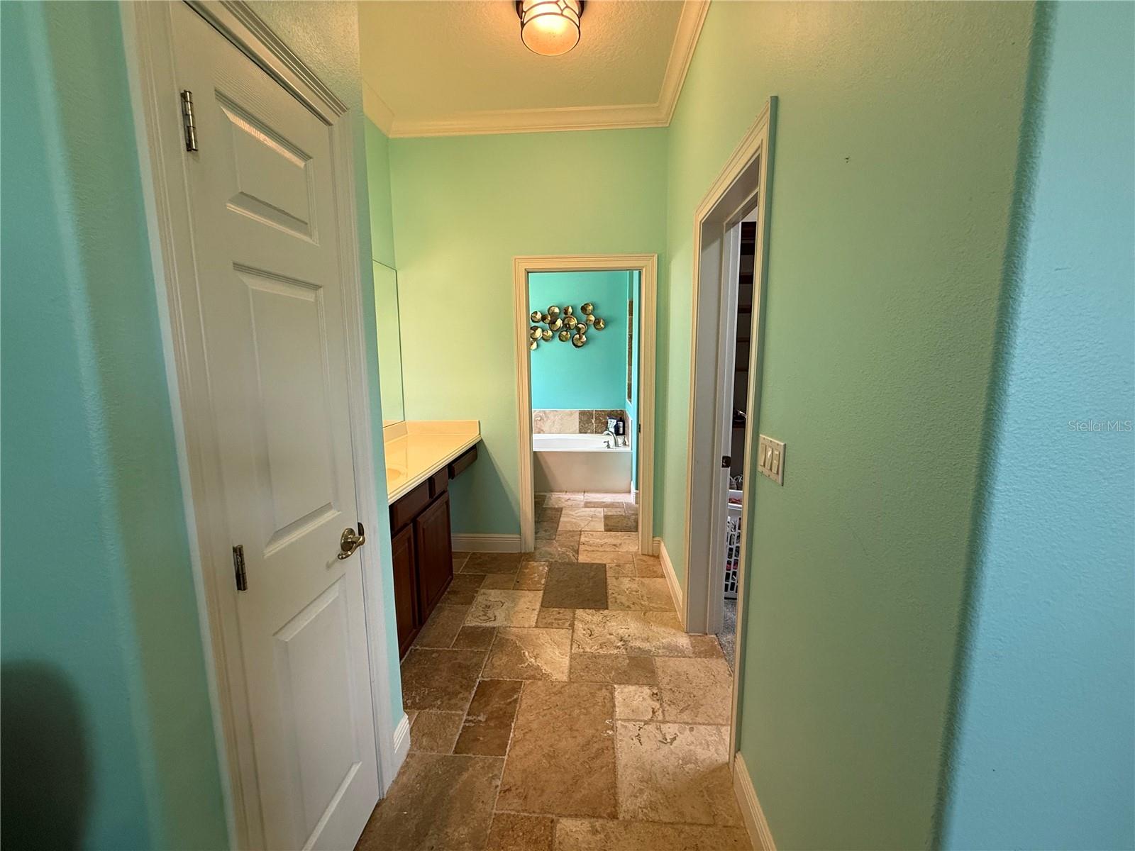 12238 STILL MEADOW DR, CLERMONT, FL, 34711