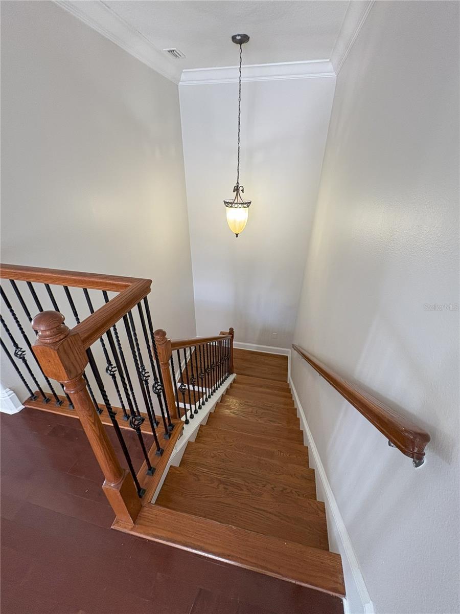 1554 COROLLA CT, REUNION, FL, 34747