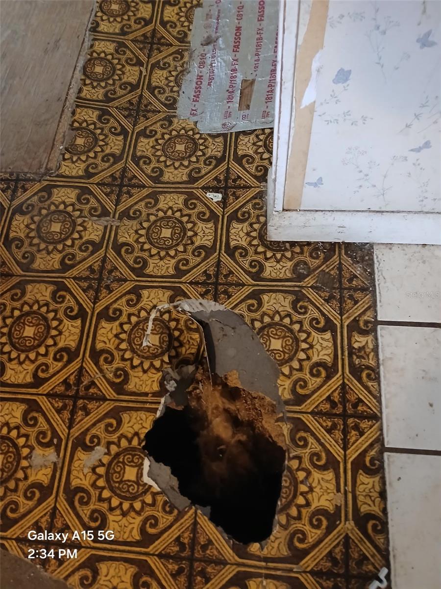 8709 NE 67TH WAY, GAINESVILLE, FL, 32609