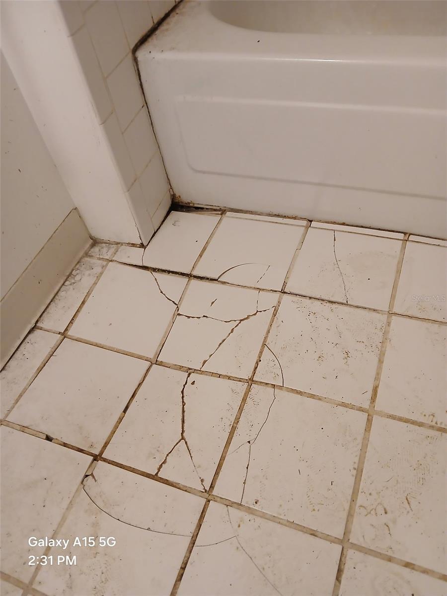 8709 NE 67TH WAY, GAINESVILLE, FL, 32609