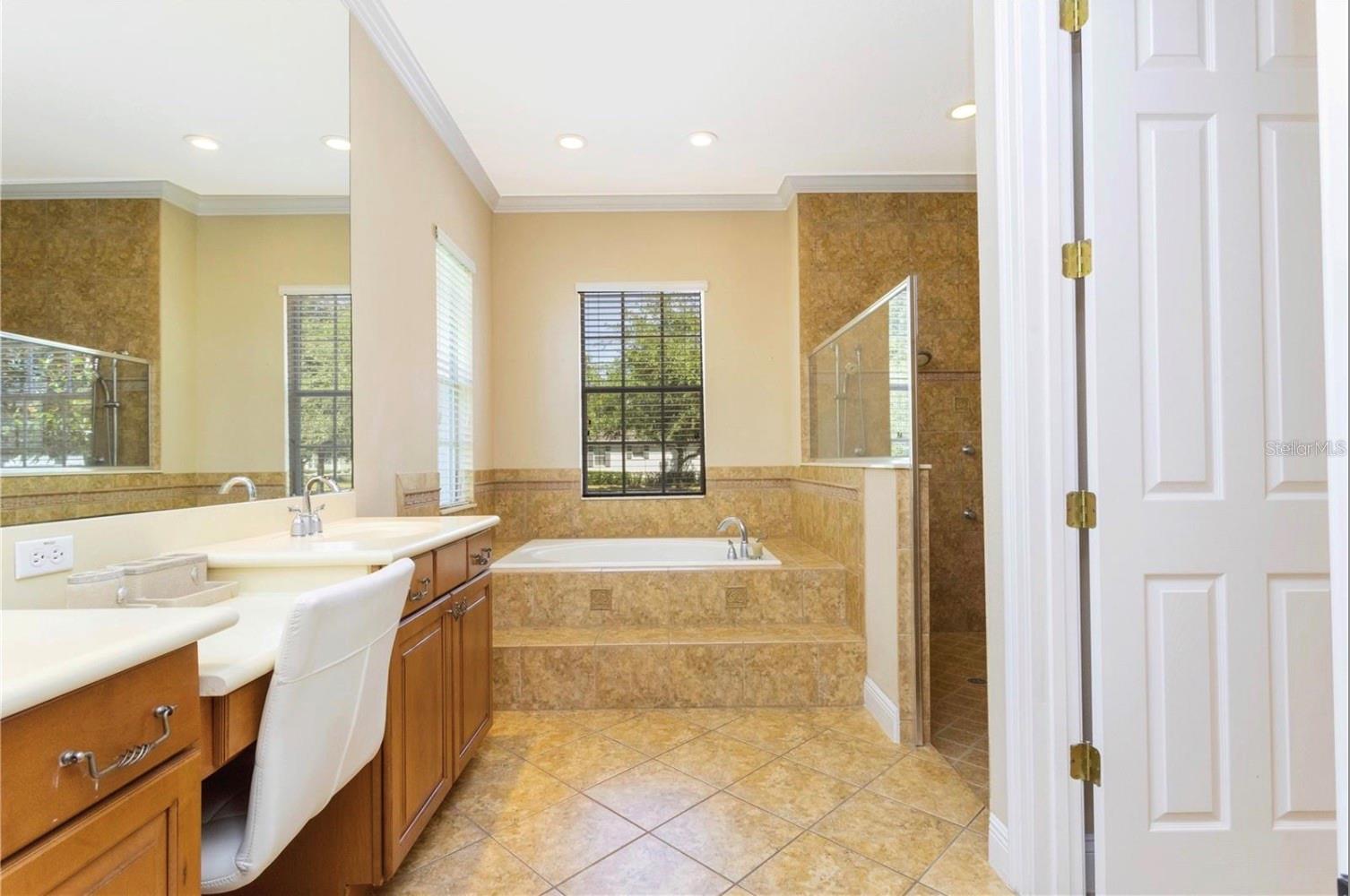 11824 CAMDEN PARK DR, WINDERMERE, FL, 34786