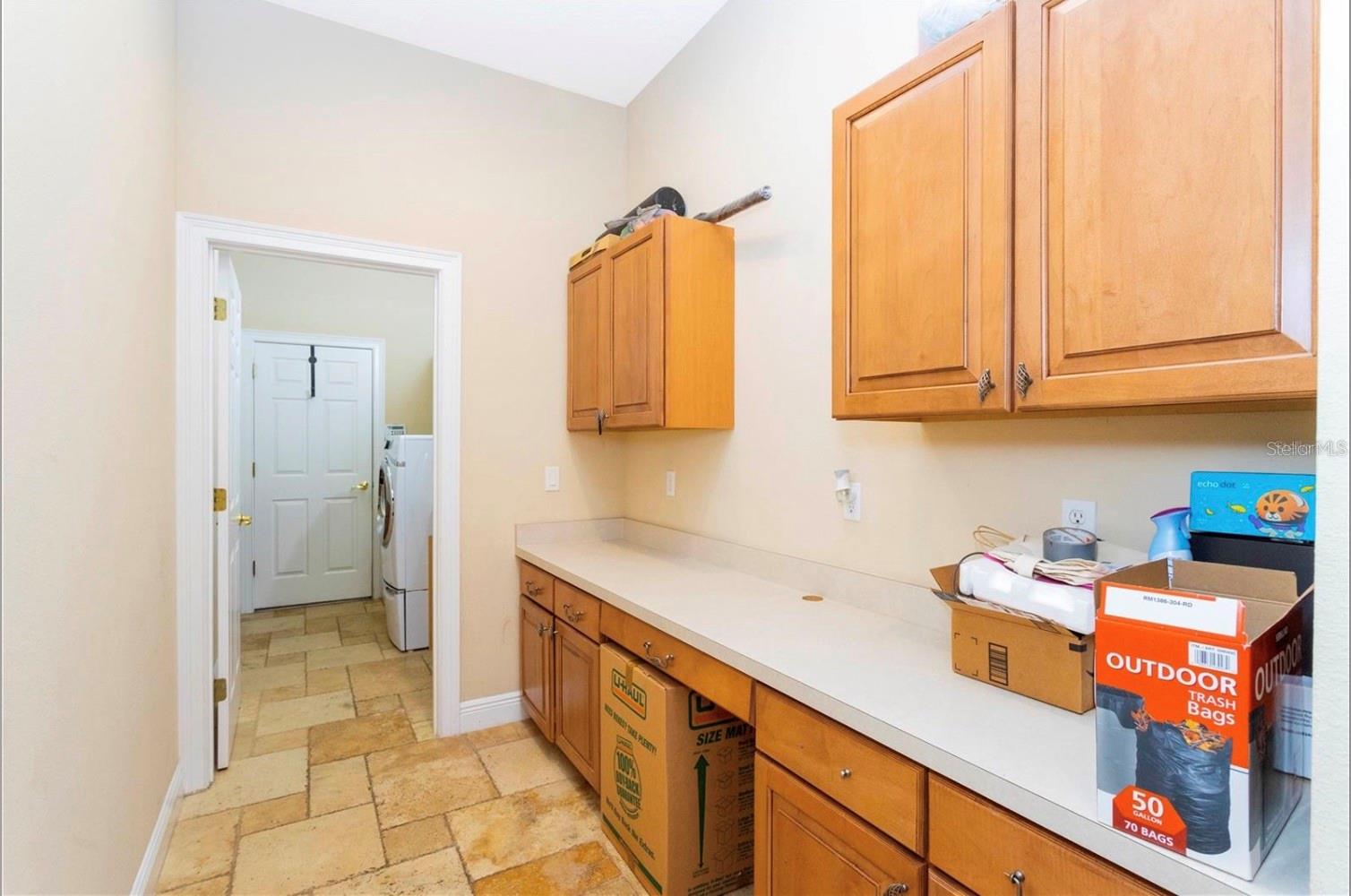 11824 CAMDEN PARK DR, WINDERMERE, FL, 34786