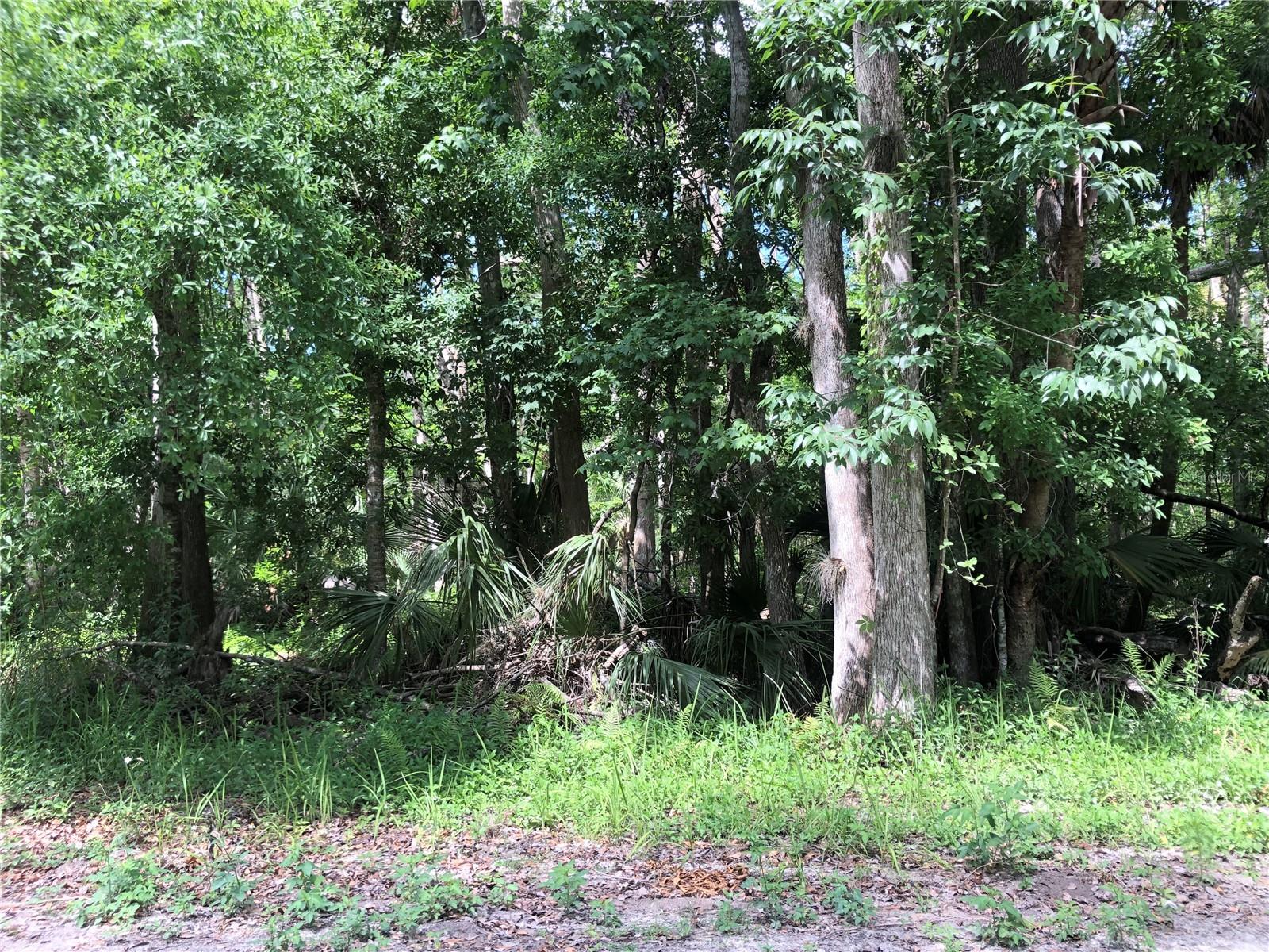 KEEFER TRL, KISSIMMEE, FL, 34747