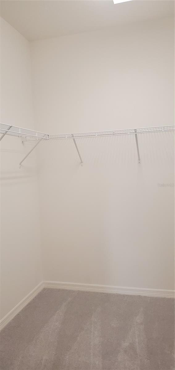 5810 SPOTTED HARRIER WAY, LITHIA, FL, 33547