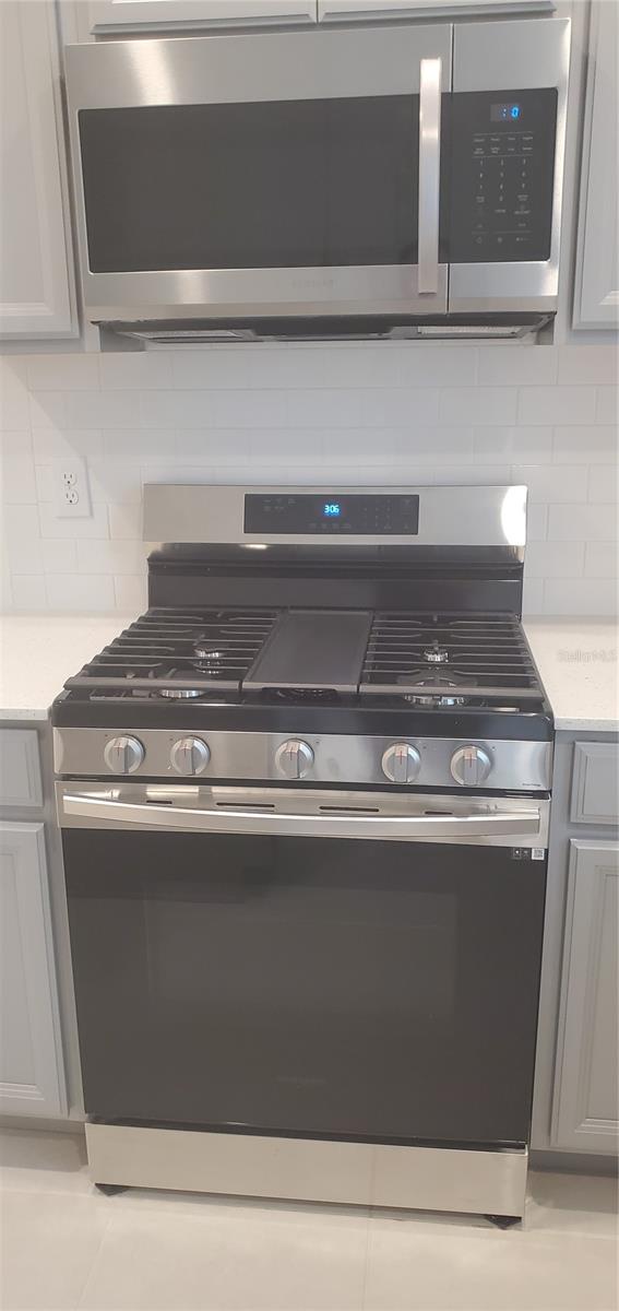 5810 SPOTTED HARRIER WAY, LITHIA, FL, 33547