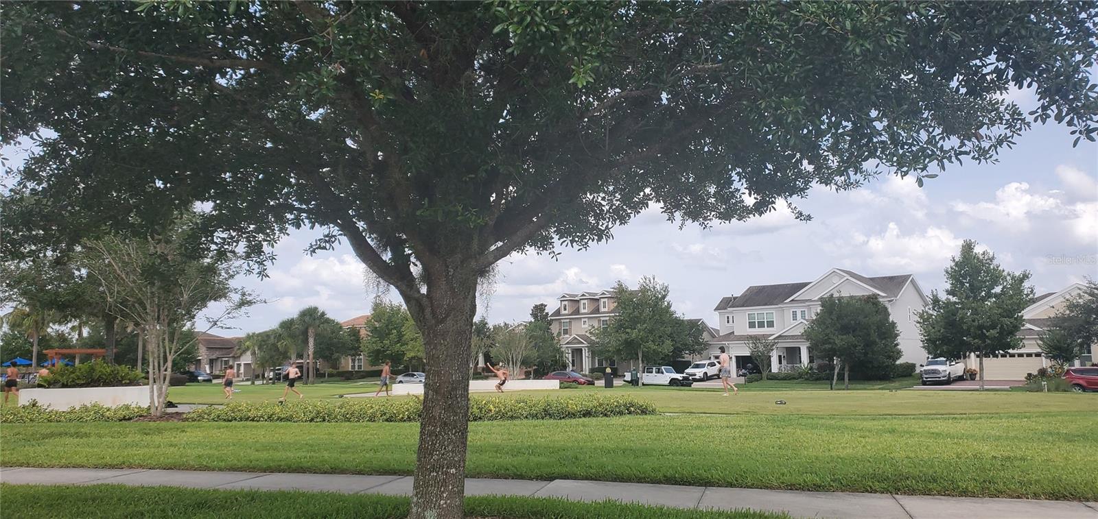 5810 SPOTTED HARRIER WAY, LITHIA, FL, 33547