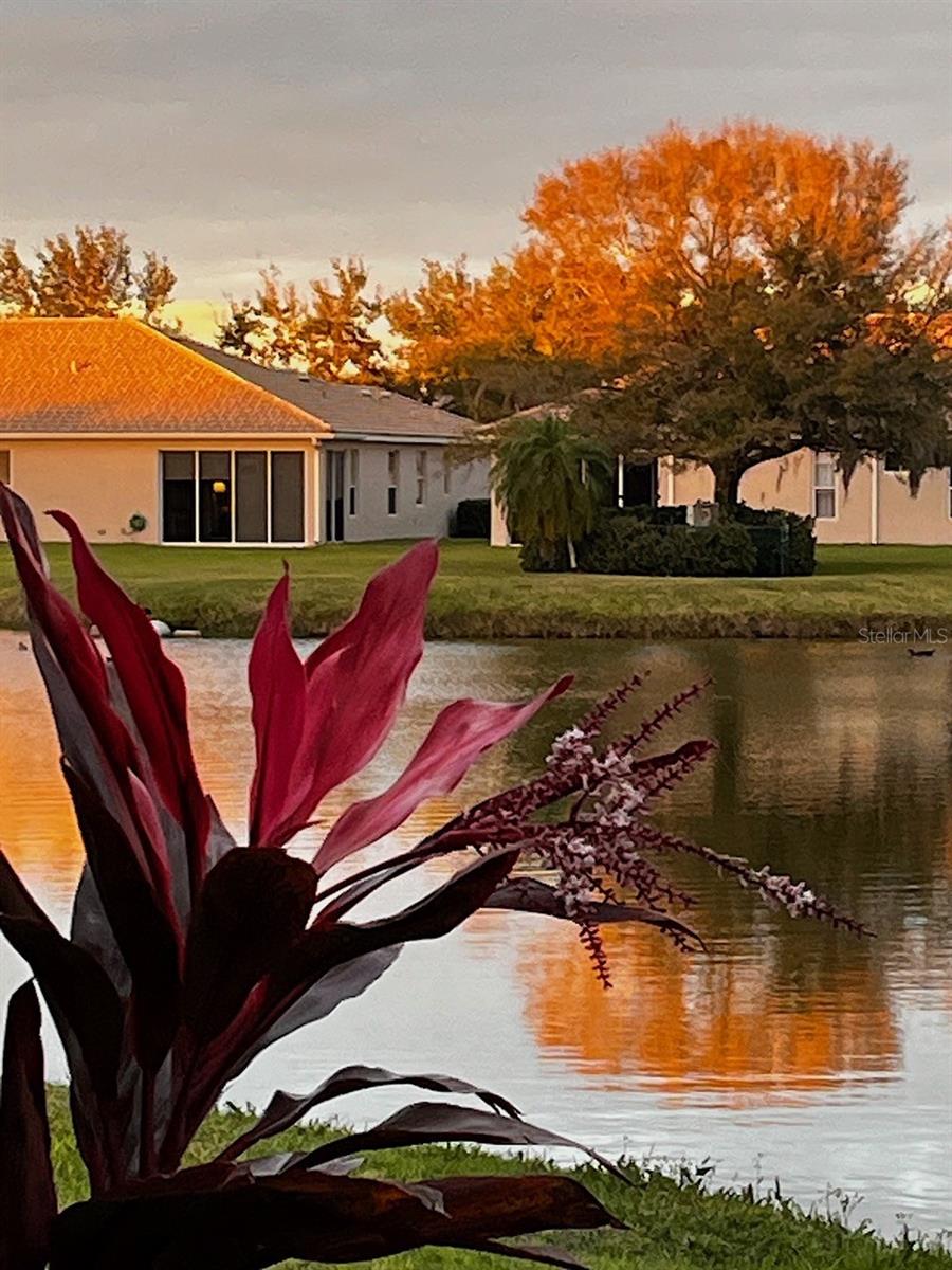 4136 CASCADE FALLS DR, SARASOTA, FL, 34243