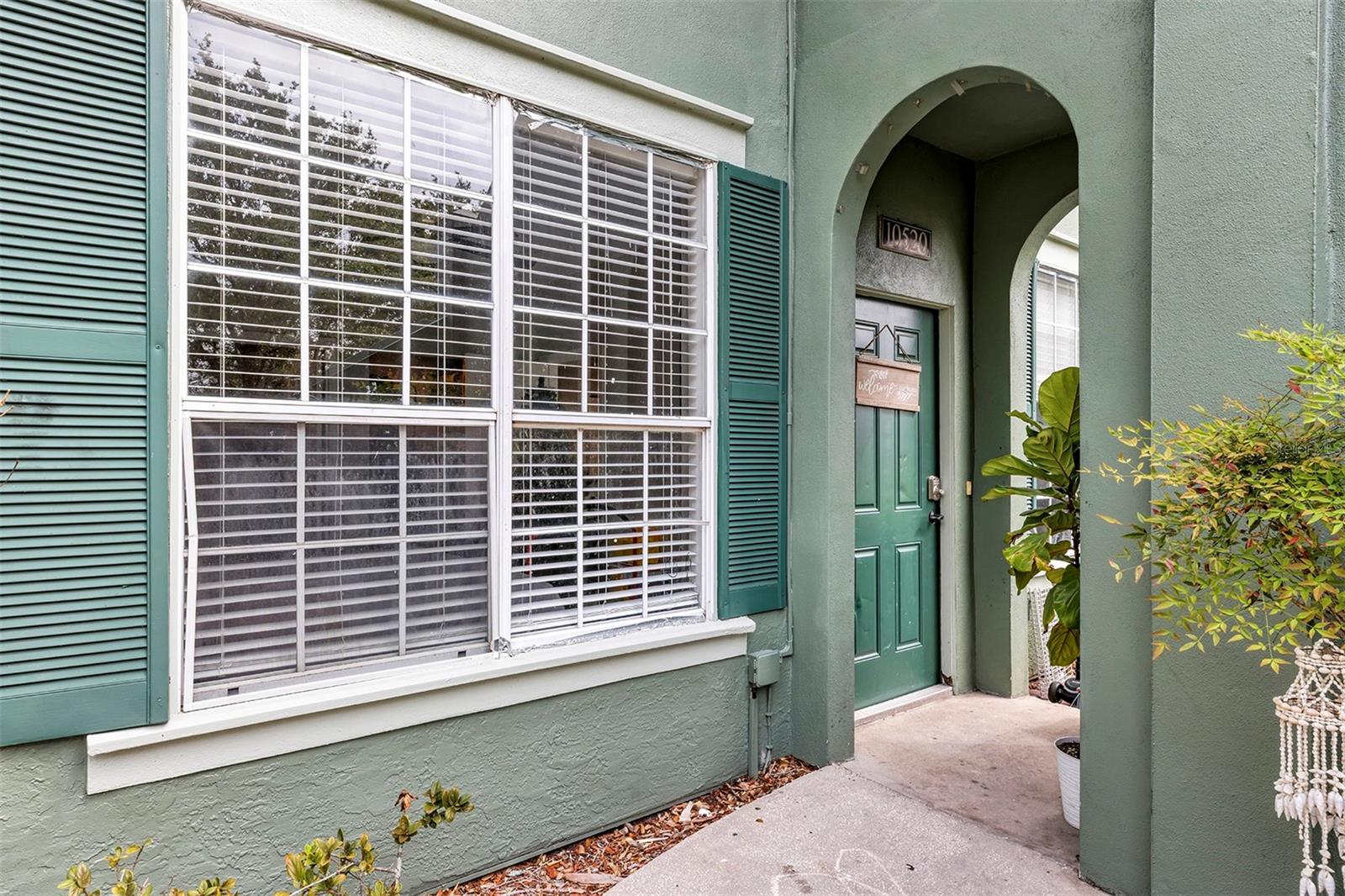 10520 WINDSOR LAKE CT #10520, TAMPA, FL, 33626