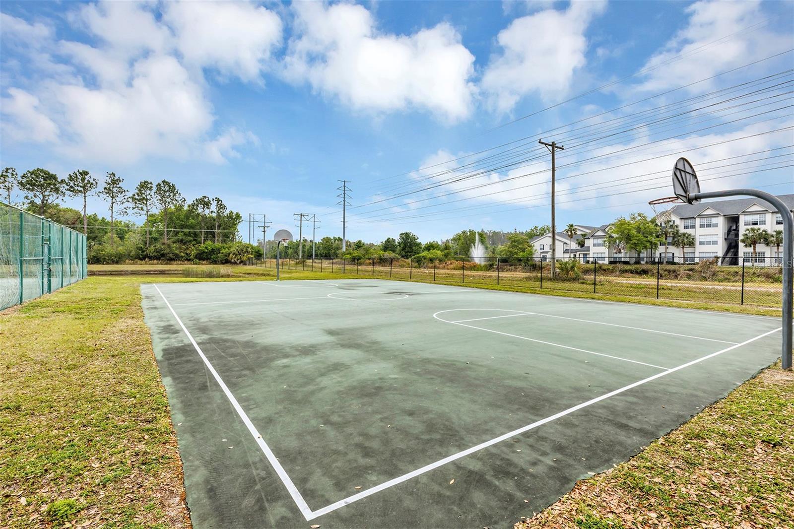 10520 WINDSOR LAKE CT #10520, TAMPA, FL, 33626