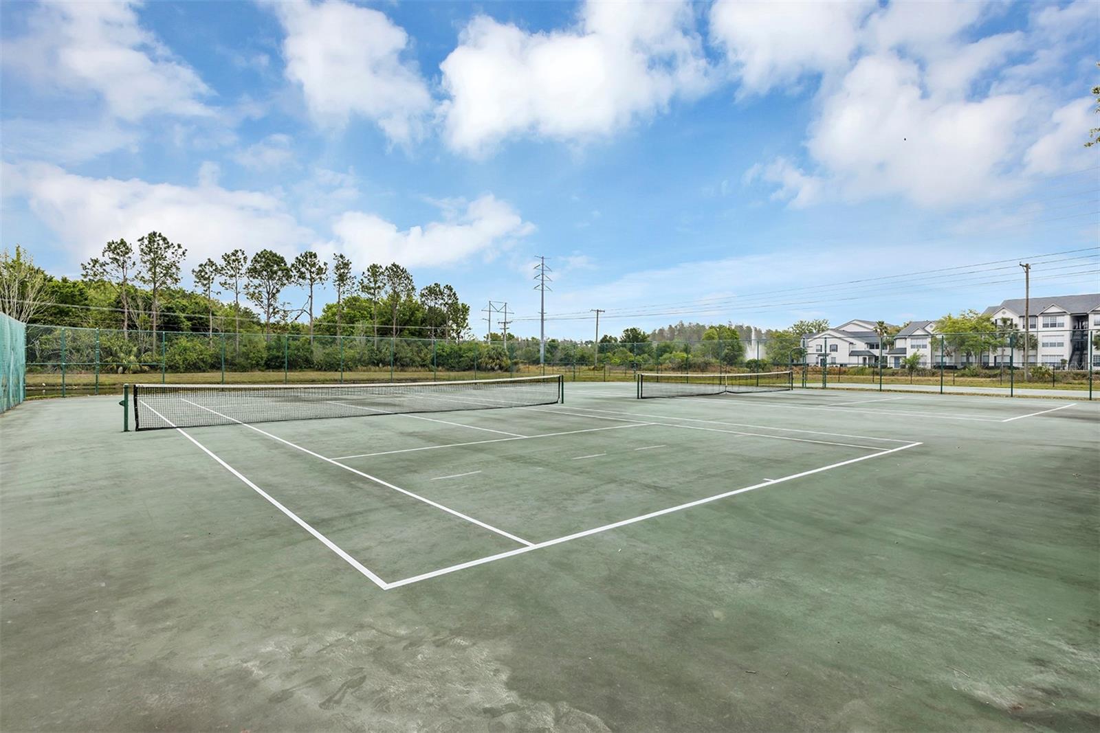 10520 WINDSOR LAKE CT #10520, TAMPA, FL, 33626