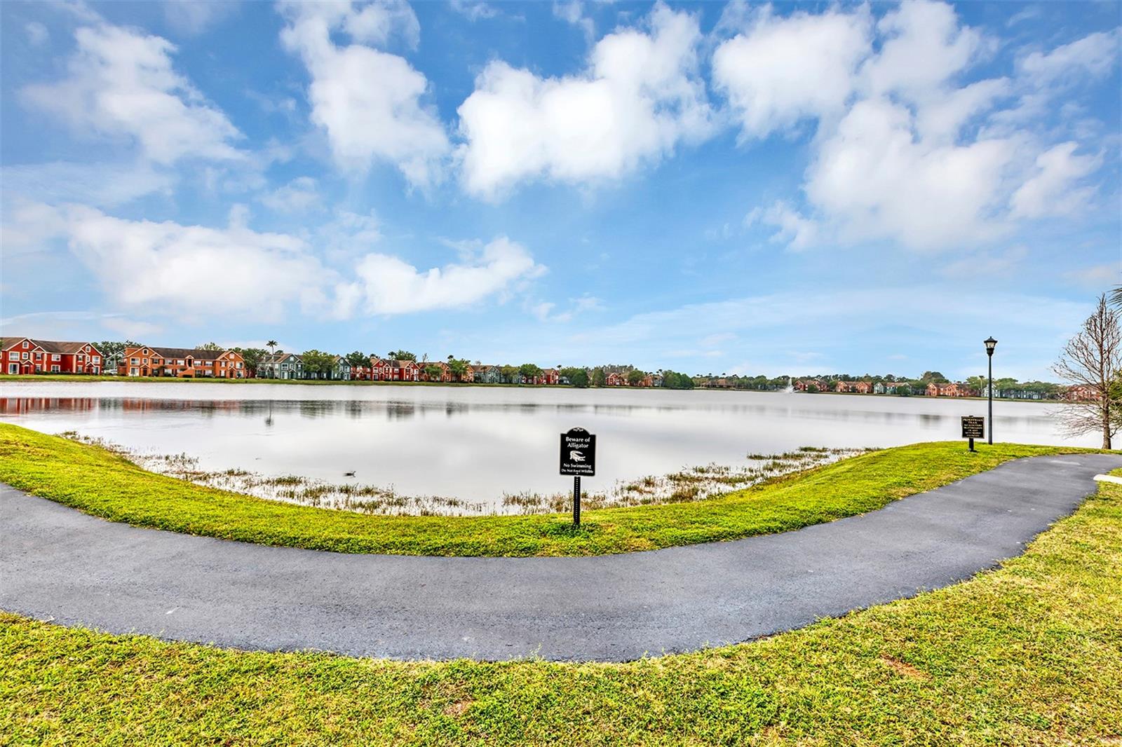 10520 WINDSOR LAKE CT #10520, TAMPA, FL, 33626